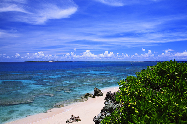 Ibaraki – Naha Direct Flight Launches from July 1st.