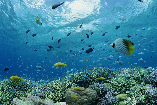 Connecting Flight Available for “Ibaraki – Miyako” and “Ibaraki – Ishigaki” from July 10th