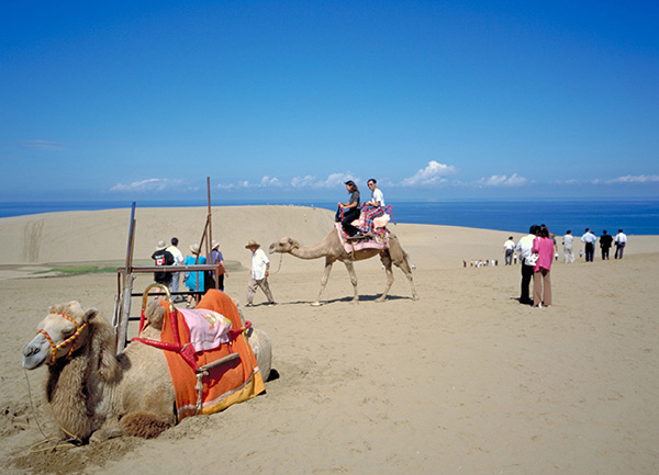 Skymark Airlines to Launch Yonago – Ibaraki (via Kobe) Service from December 20th, 2013