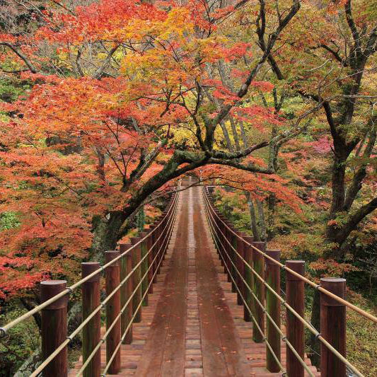 Hananuki Gorge