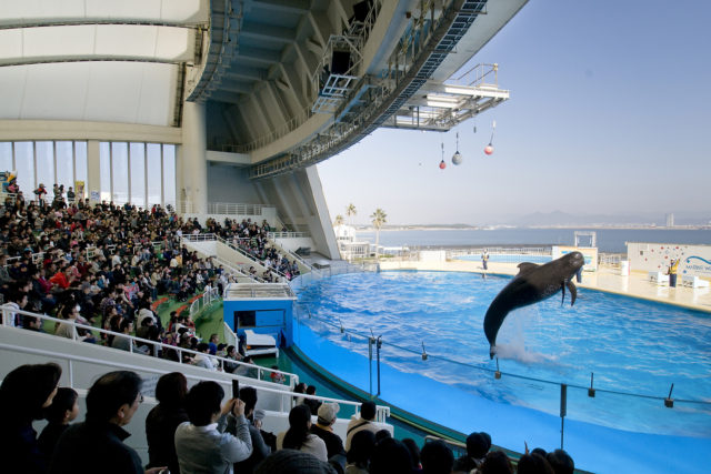 マリンワールド海の中道