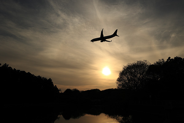 一般部門茨城空港アプリ賞「光の輪」鈴木寛子様