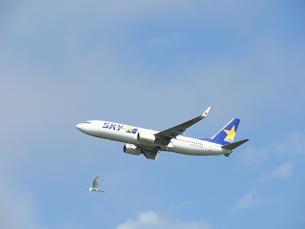 Instagram部門茨城空港アプリ賞「2Ships」ぷっちゃきつねあっぷ！