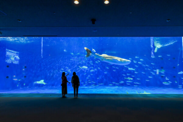 いおワールドかごしま水族館