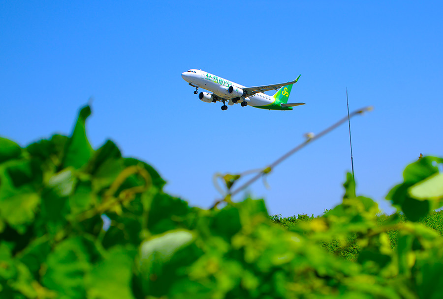 「緑が似合うね。」 平野忠志様