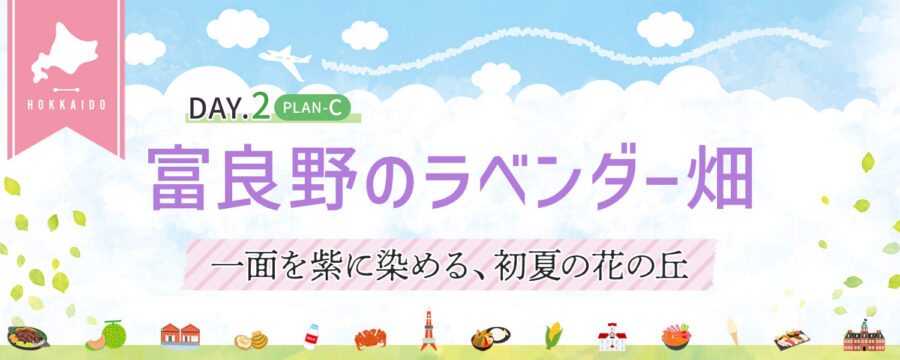 富良野のラベンダー畑